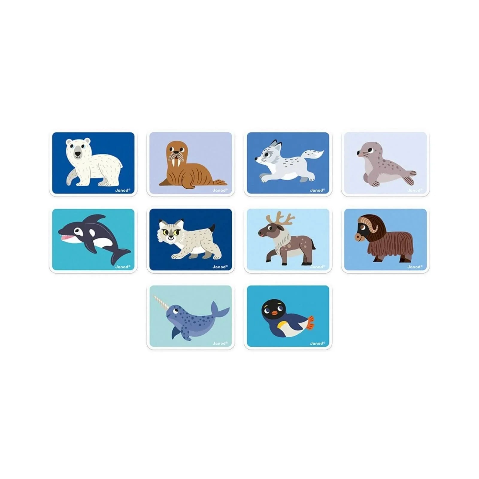 Janod Magnetibook Anifeiliaid y Pegwn