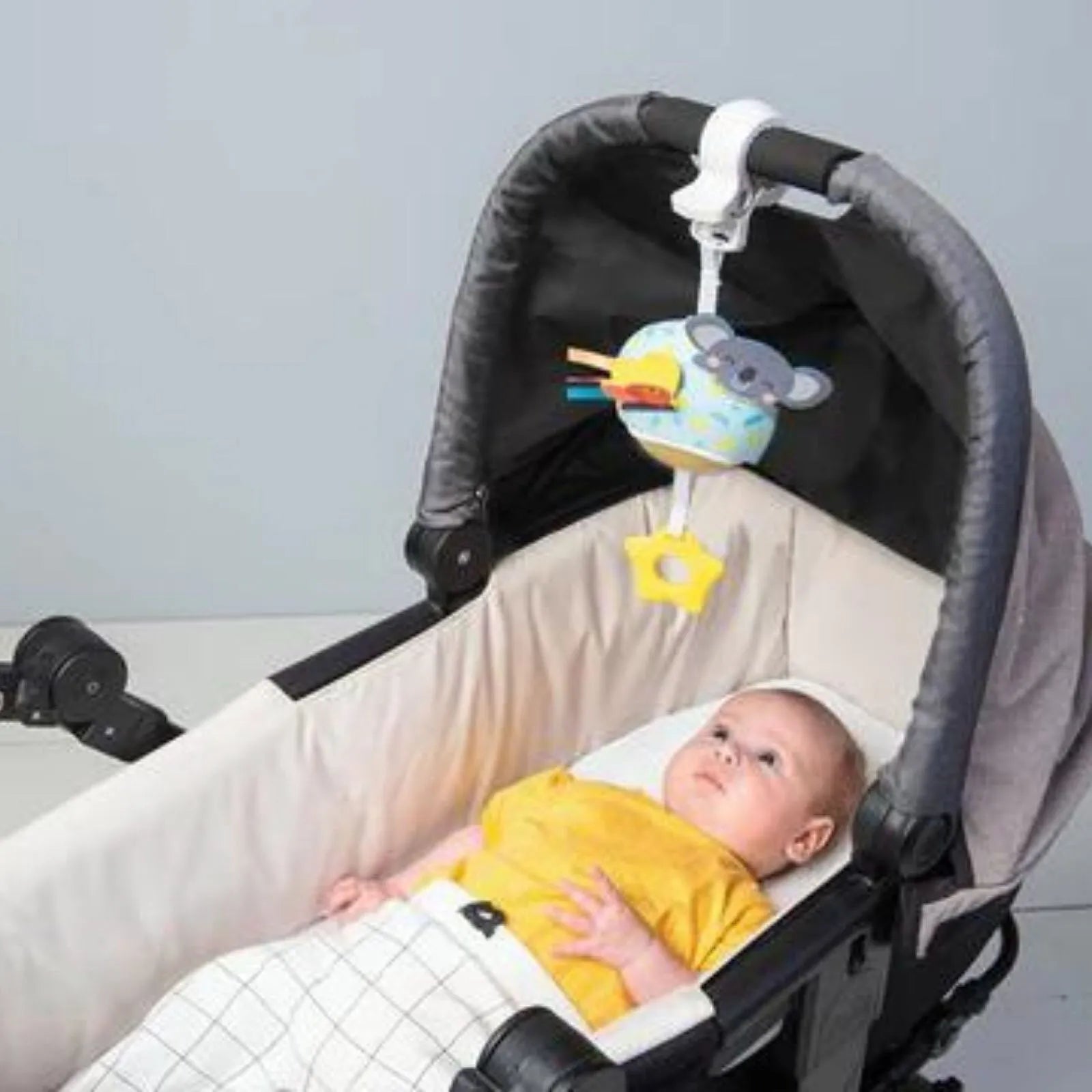 Koala Cerddorol Taf Toys