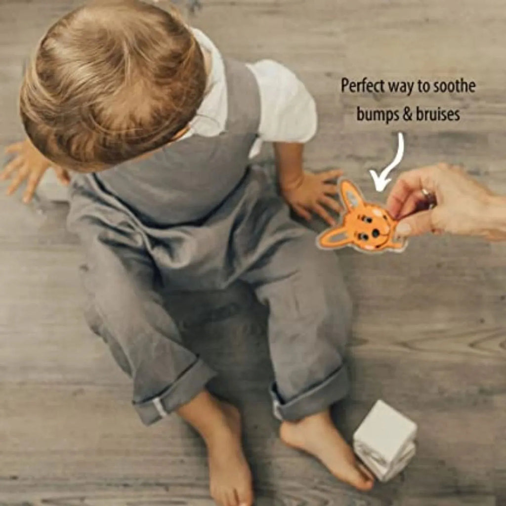 Pecyn Oeri Ailddefnyddiadwy Frezzie Cool gan Mizzie y Kangaro