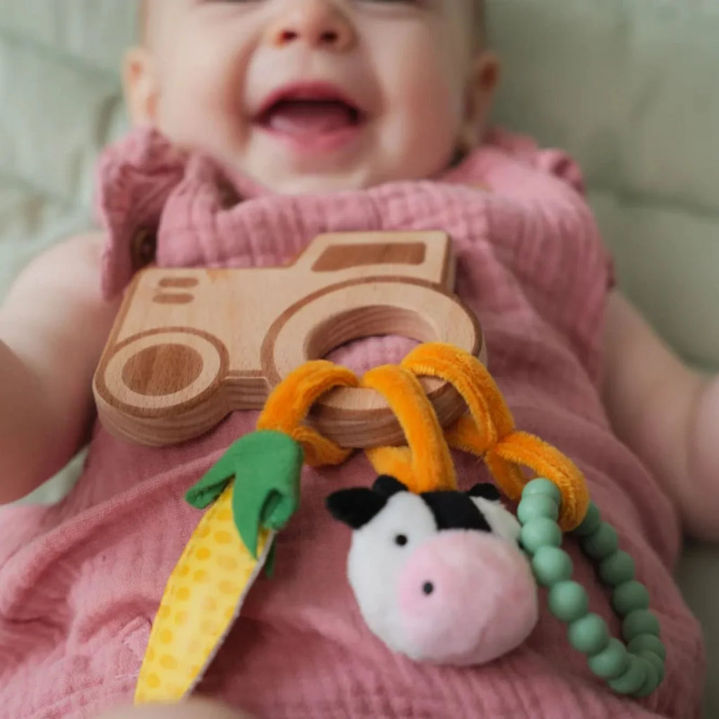 Rachidi Pren Little Big Friends - Fferm