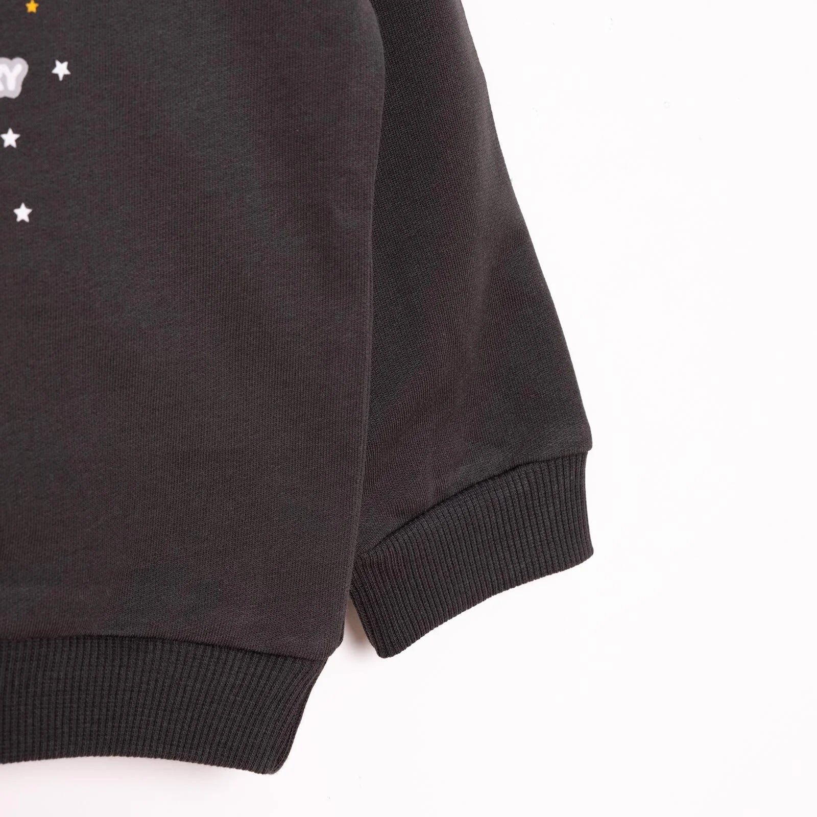 Crys Chwys HelloBaby Basic â Phrint Llew yn Rhydd o'r Gwaelod - Llwyd Tywyll