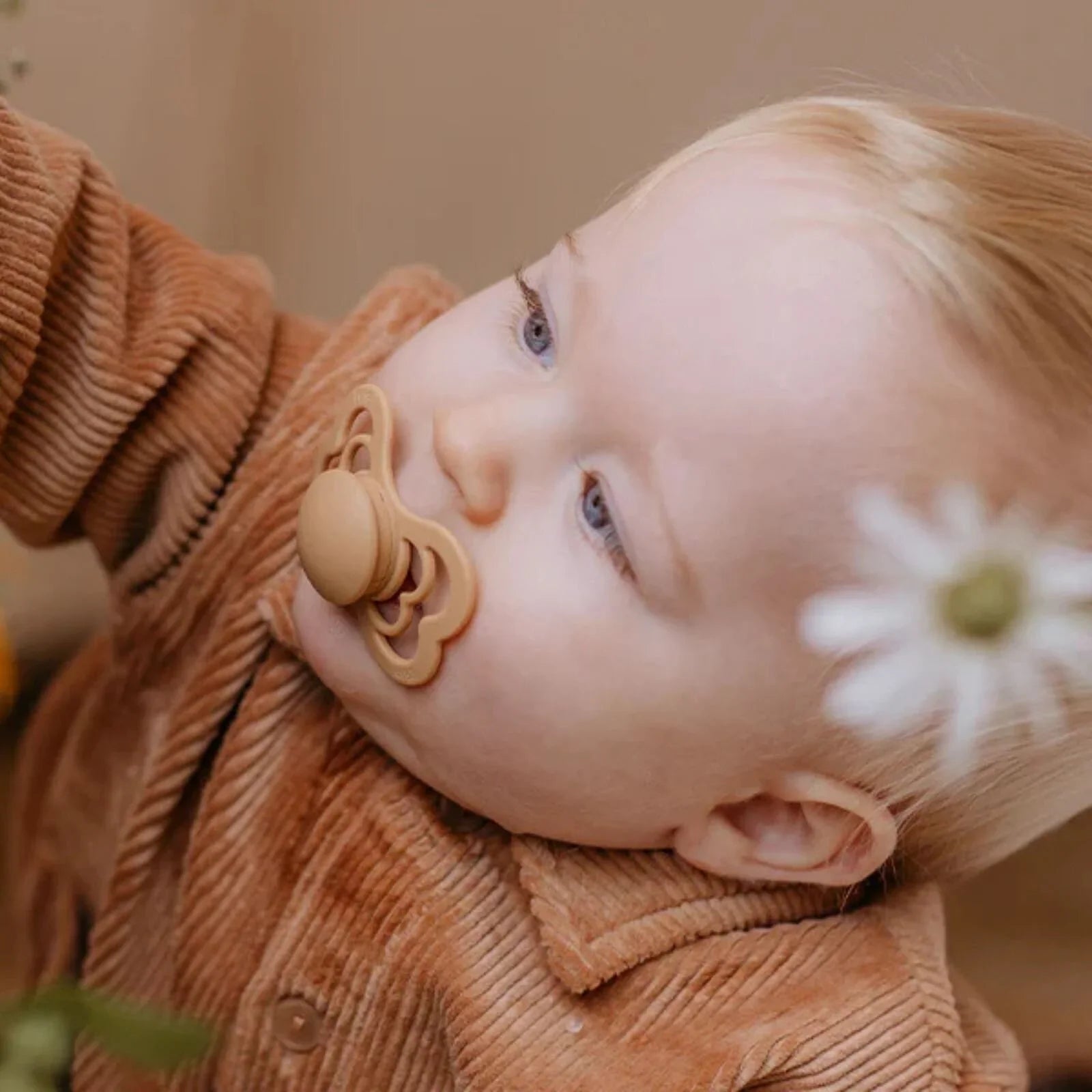 BIBS Supreme Latex Soothers 0-6 months Pecyn o 2 - Ifori a Saets