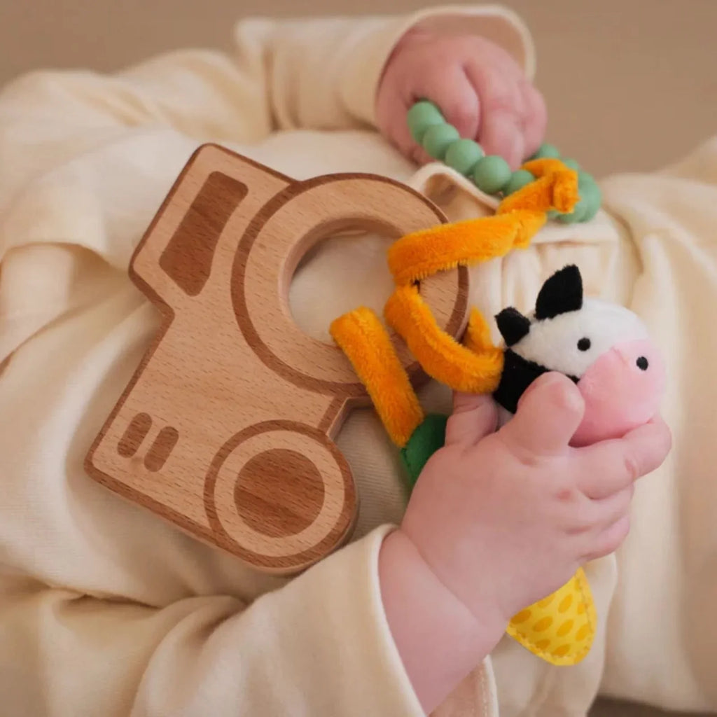 Rachidi Pren Little Big Friends - Fferm