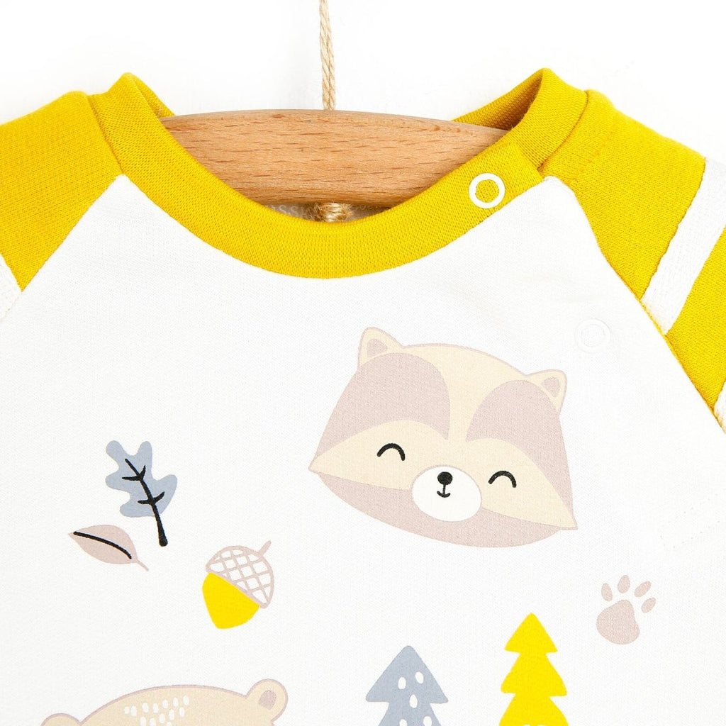 Cassiope Crys-chwys i Fabanod Little Explorer - Efydd