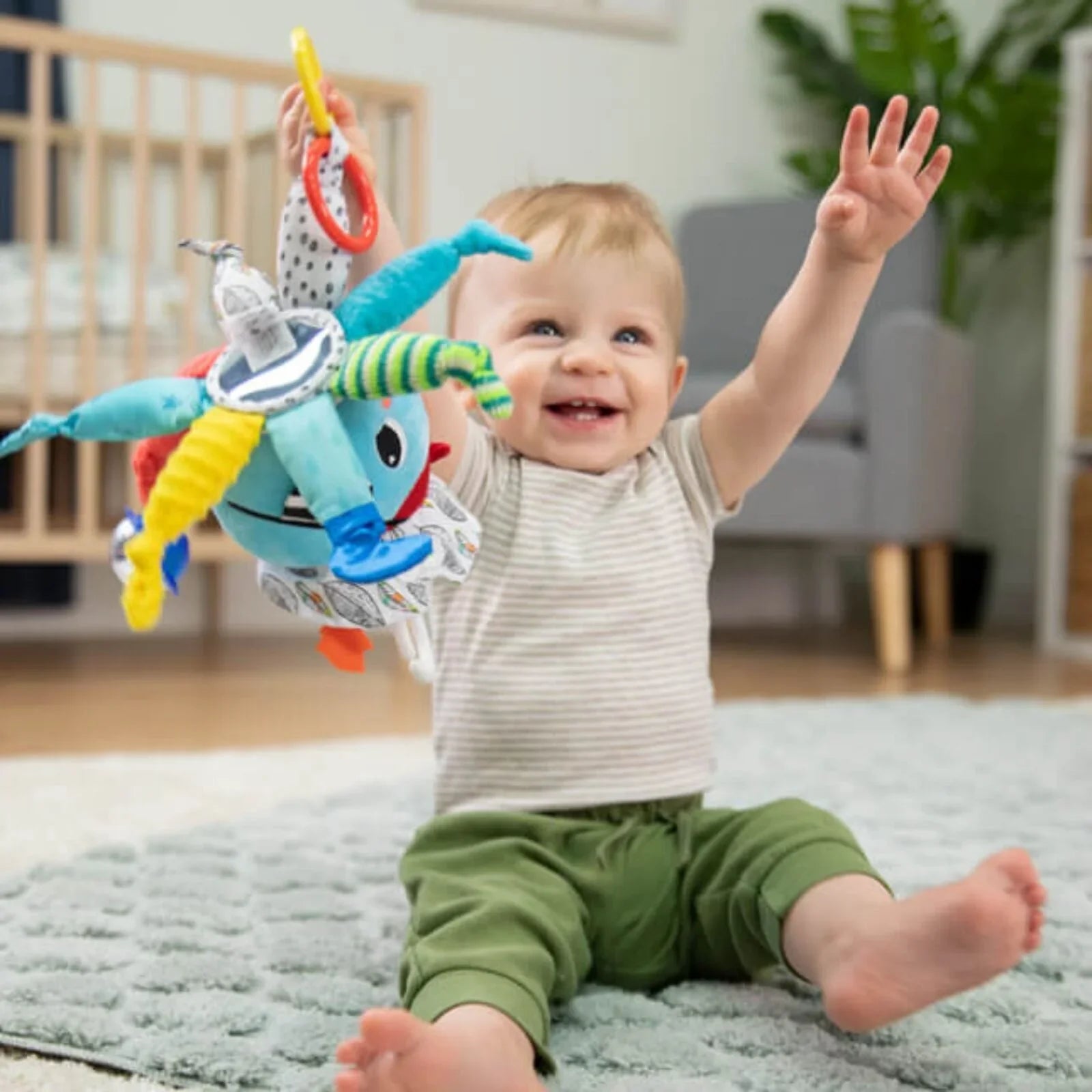 Capten Calamari Lamaze