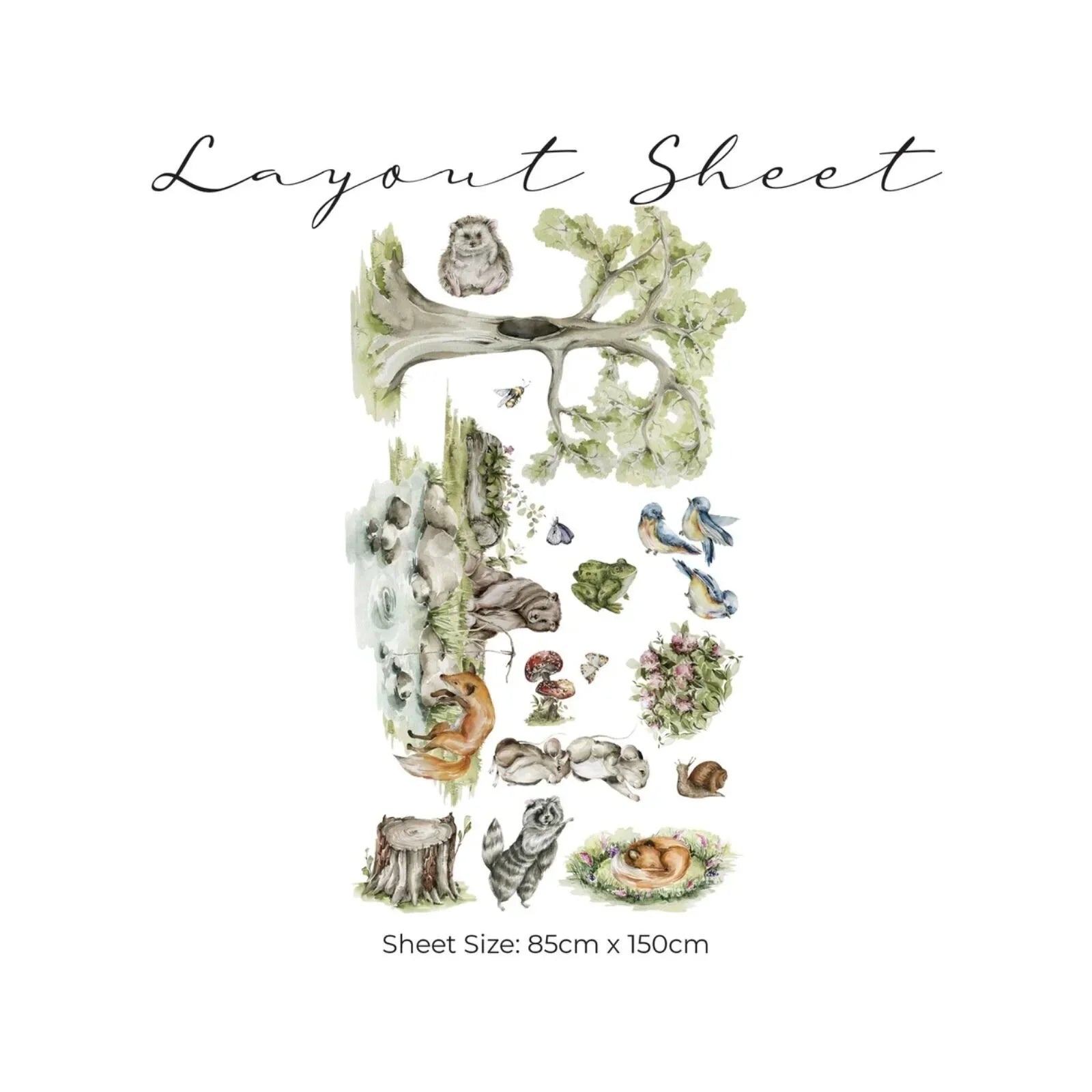 Sticeri Muriol Mawr o Live Vida o'r Goedwig Hudolus