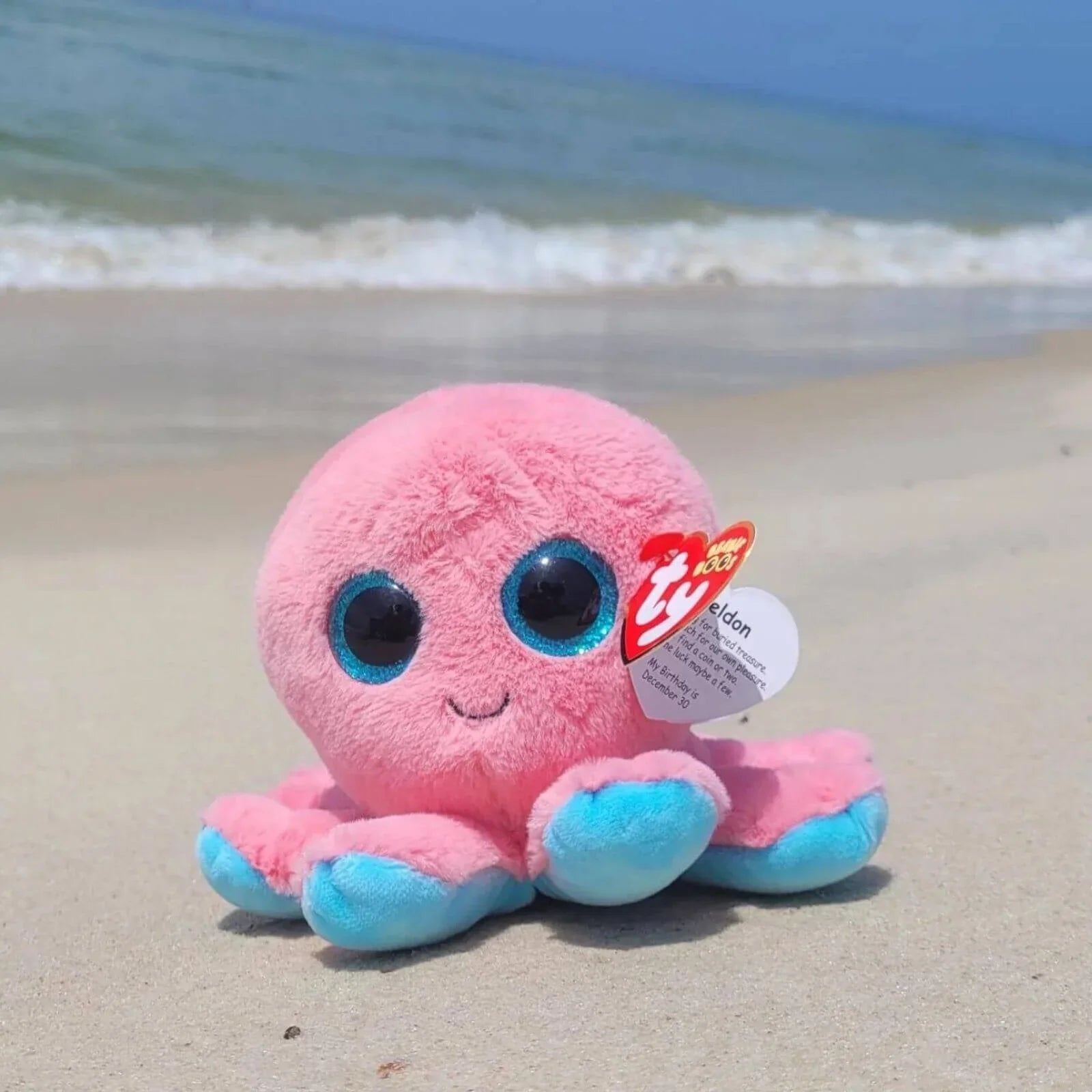 Oktopws Sheldon o'r gyfres Ty Beanie Boo