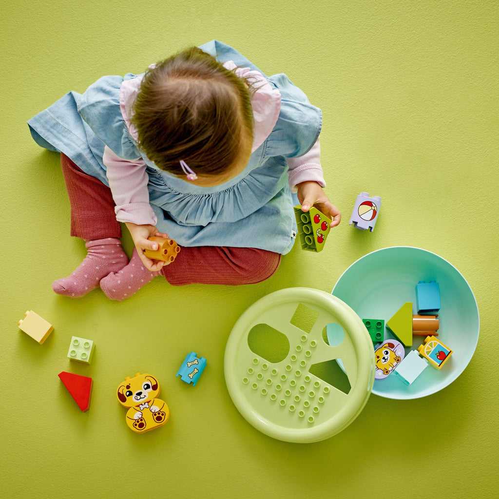 Lego Duplo 10441 Sorter Siapau Cyntaf i Mi: Tŷ Ci Bach ar gyfer Plant 18 Mis a Hŷn