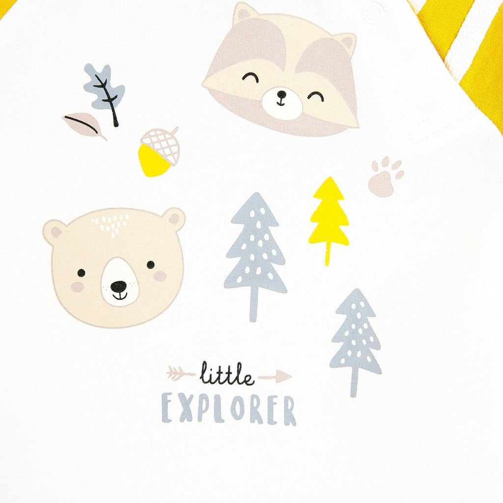 Cassiope Crys-chwys i Fabanod Little Explorer - Efydd