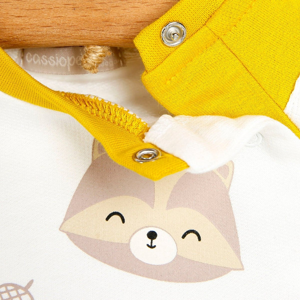 Cassiope Crys-chwys i Fabanod Little Explorer - Efydd