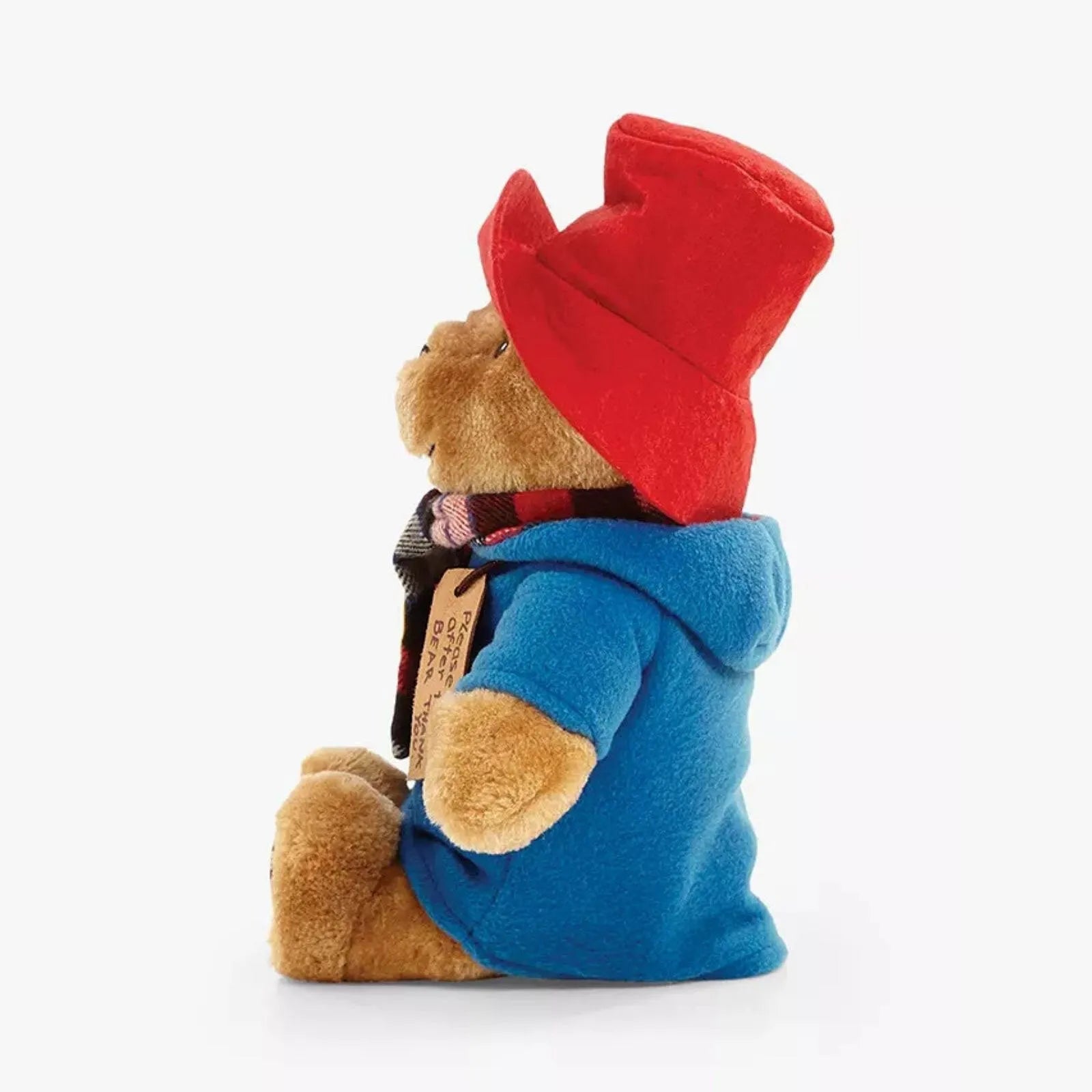 Paddington gyda Sgarff