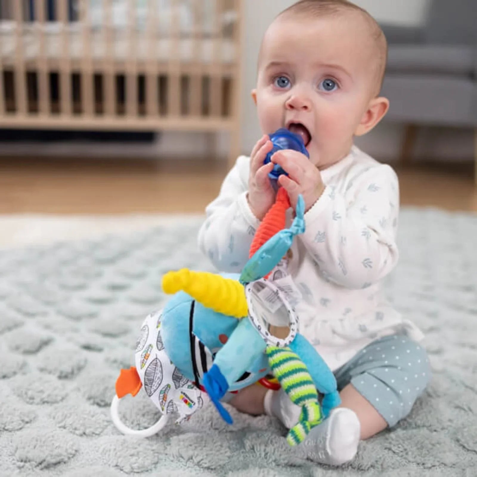 Capten Calamari Lamaze